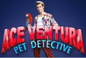 Ace Ventura pet detectiveプロバイダー