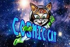 Cosmic Catのプレイの実際